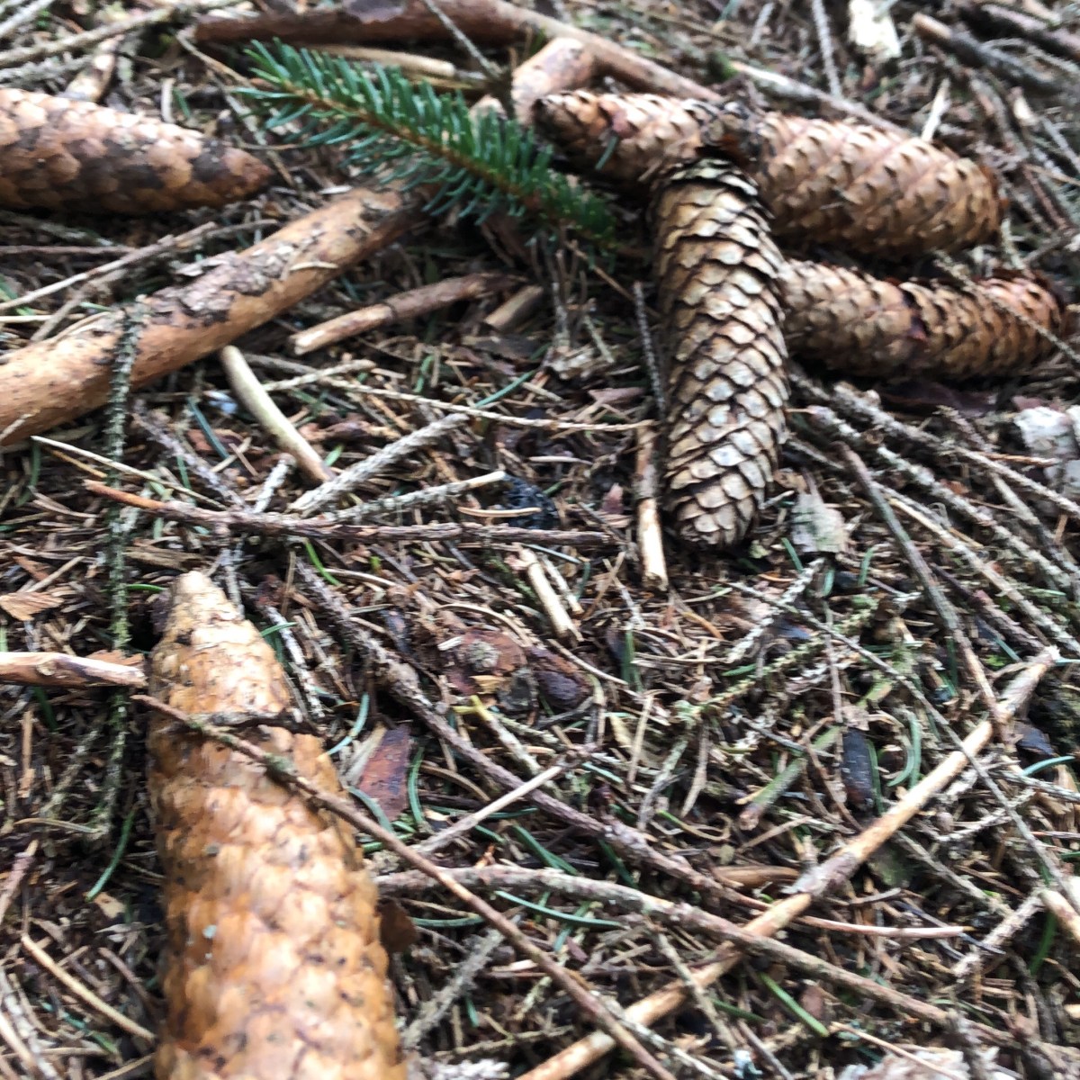 back to the roots&nbsp;#8